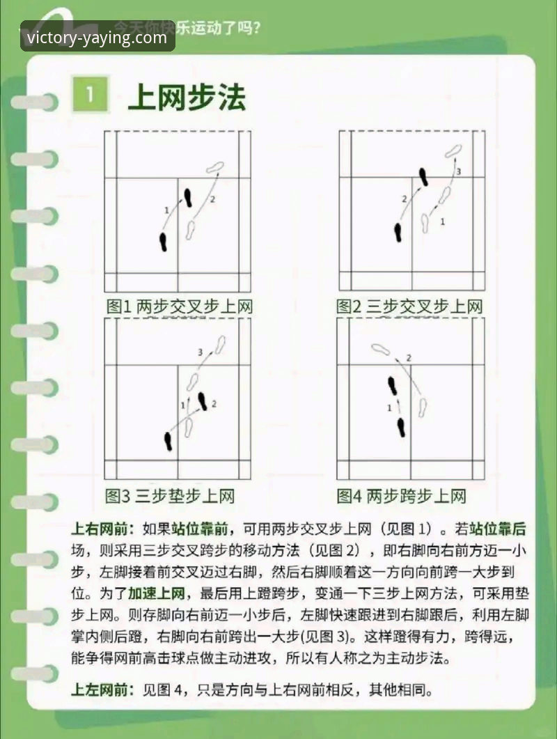 最新消息：亚盈体育使用教程必备指南——从入门到精通的全流程解析